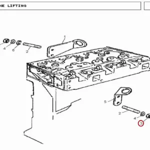 Millat Massey Ferguson Tractor Spare Part NUT 18550118550 - Massey Ferguson tractor spare part